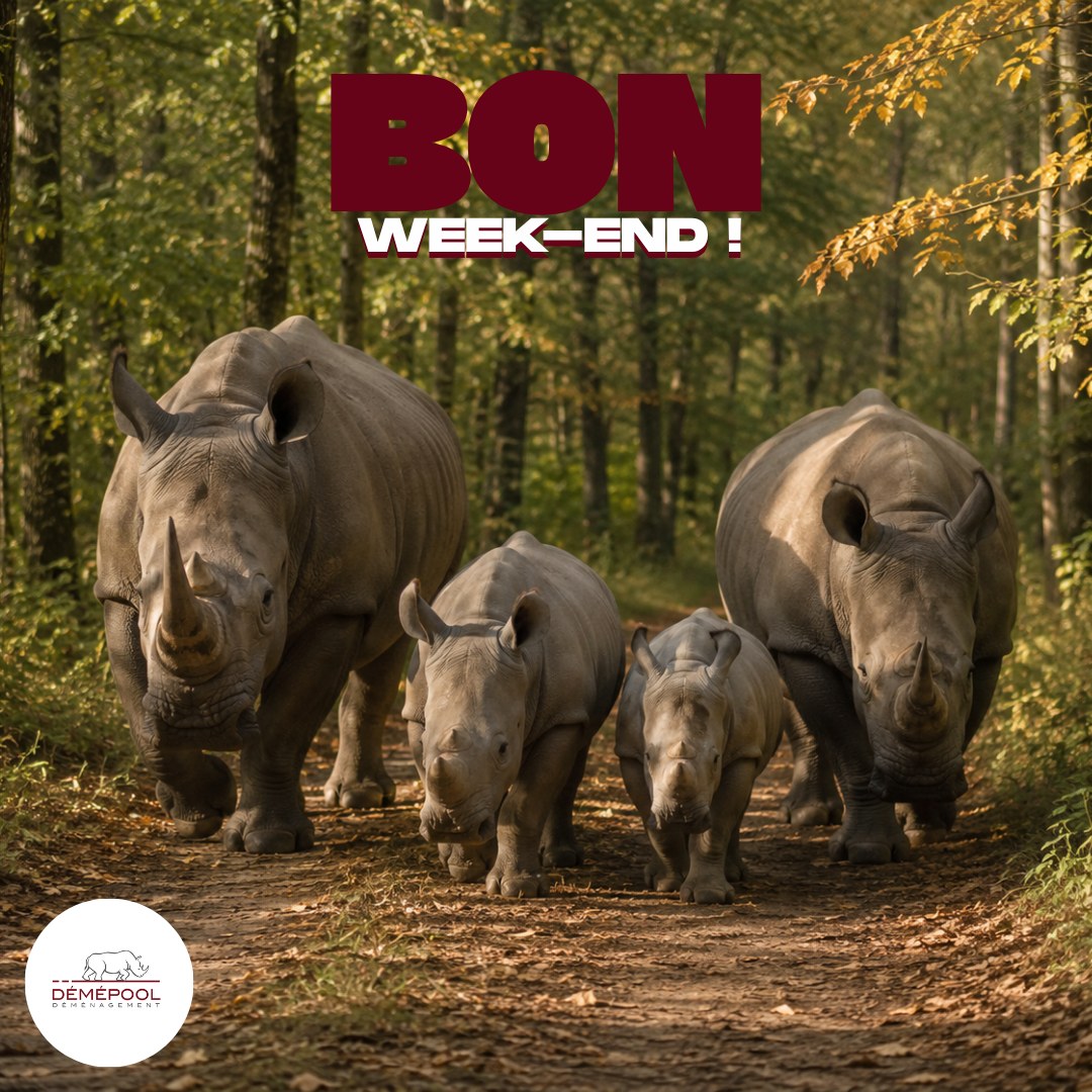 🌿🦏 Il suffit parfois d'une simple balade pour se ressourcer. Après une semaine bien remplie,…