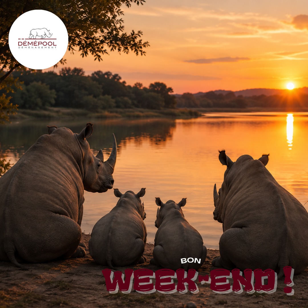 🌅 Le plus beau des week-ends est souvent celui passé avec ceux que l'on aime.…