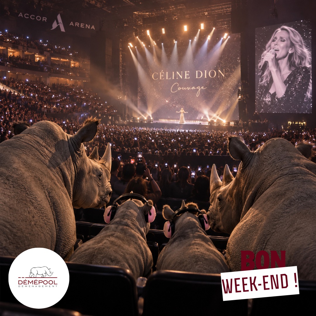🎶✨ Les plus beaux moments sont ceux que l'on partage. Qu'il s'agisse d'un concert, d'une…