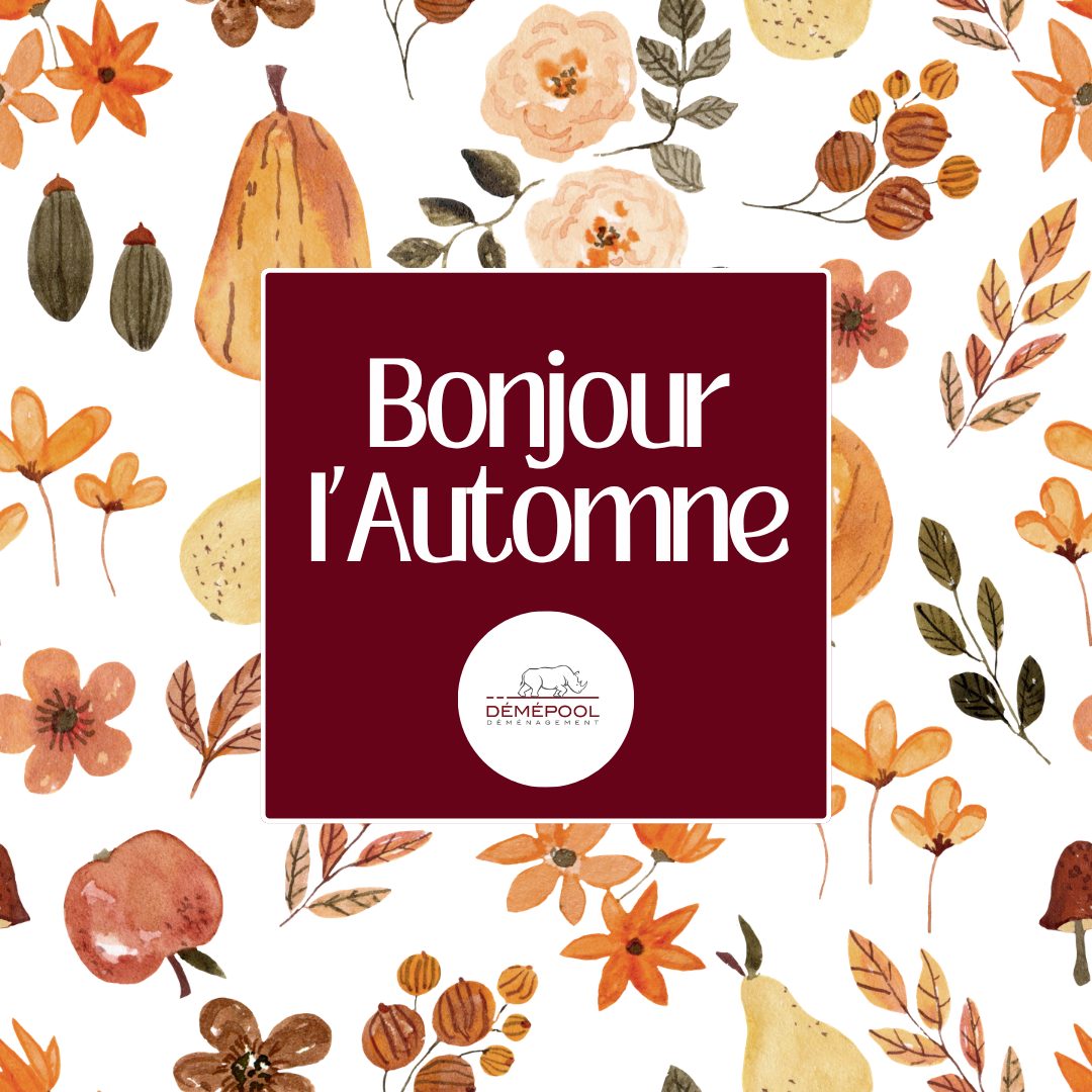 🍂🏡 L'automne est là… et c'est aussi l'une des meilleures saisons pour déménager ! Des…