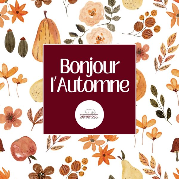 🍂🏡 L'automne est là… et c'est aussi l'une des meilleures saisons pour déménager ! Des…